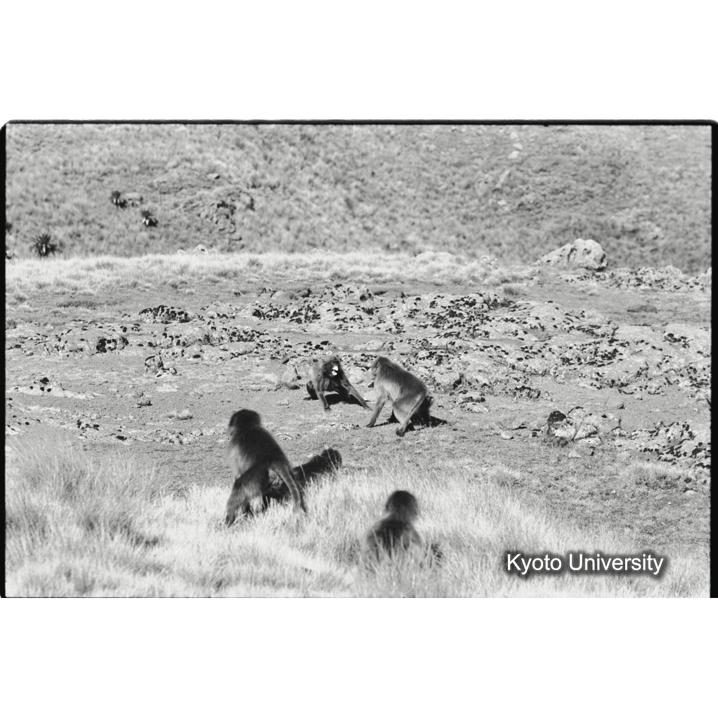 [２８コマ目]「コドモグループ（８）・喧嘩」 (1)