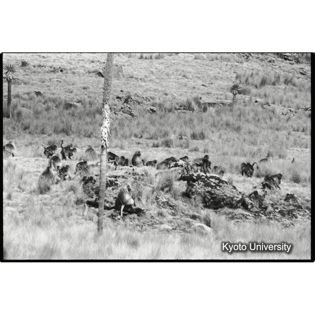 [２０コマ目]「Eバンドの風景」 (1)