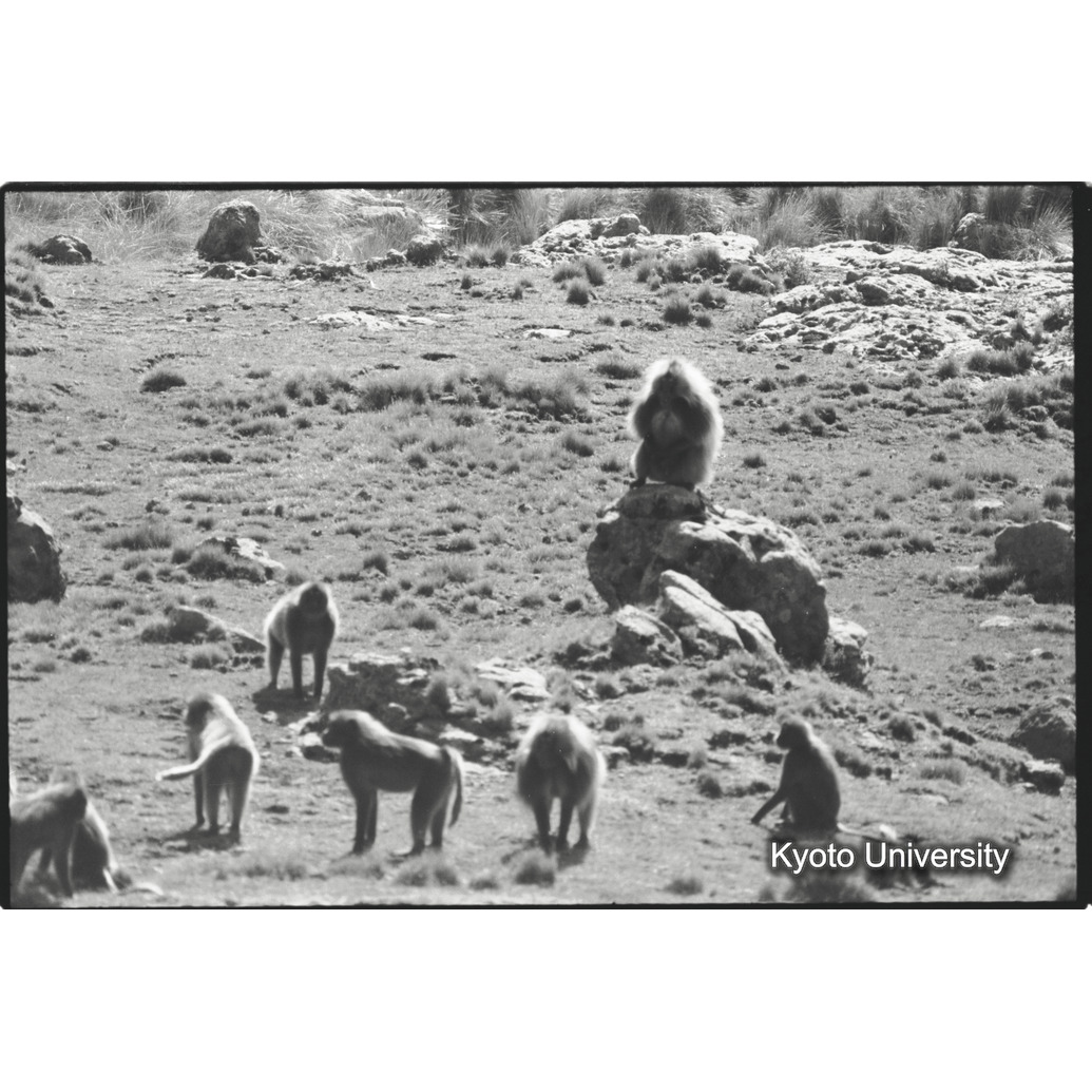 [２９コマ目]「ユニット」 (1)