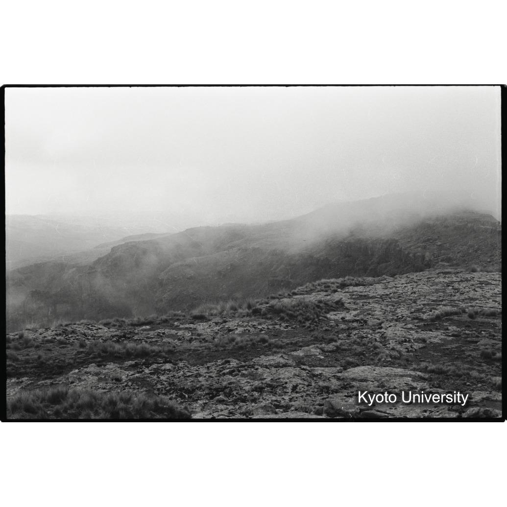 [５コマ目]「谷から昇る雲（１）」 (1)