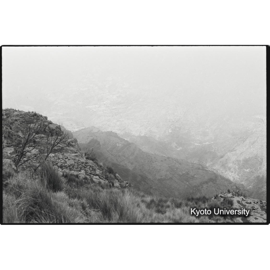 [６コマ目]「谷から昇る雲（２）」 (1)