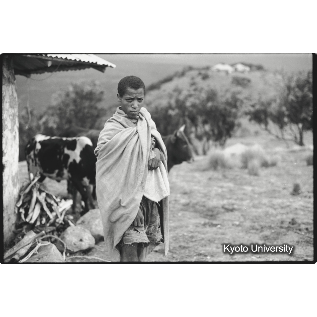 [２２コマ目]「牧童」 (1)