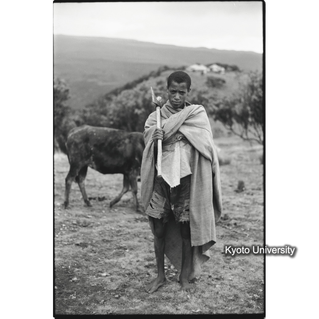[２３コマ目]「アムハラ族の牧童」 (1)