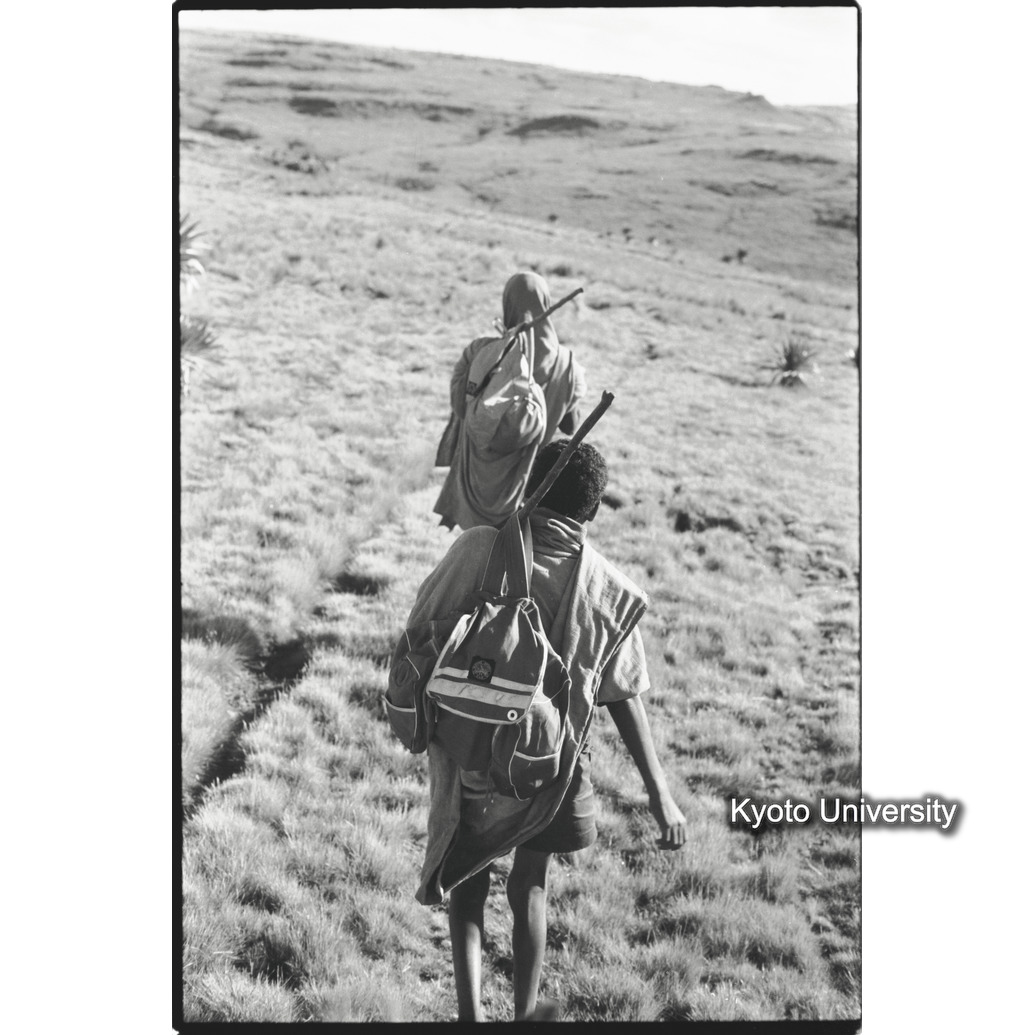 [２４コマ目]「調査補助の少年」 (1)