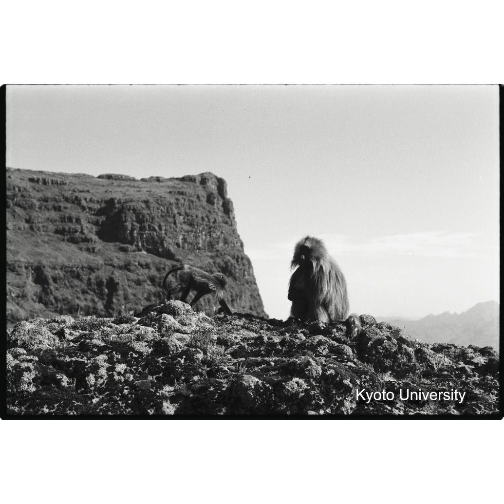 [３１コマ目]「エミエットゴゴの北東面（１）」 (1)