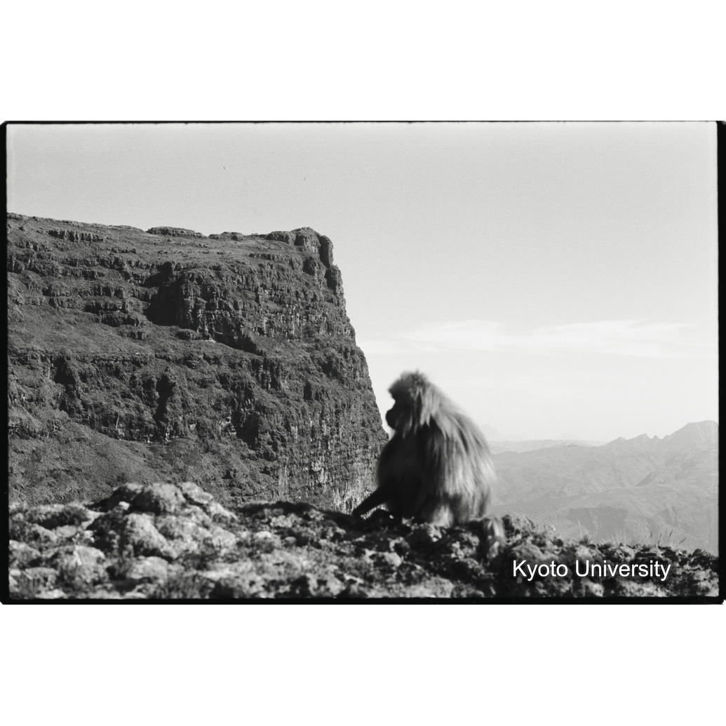 [３２コマ目]「エミエットゴゴの北東面（２）」 (1)