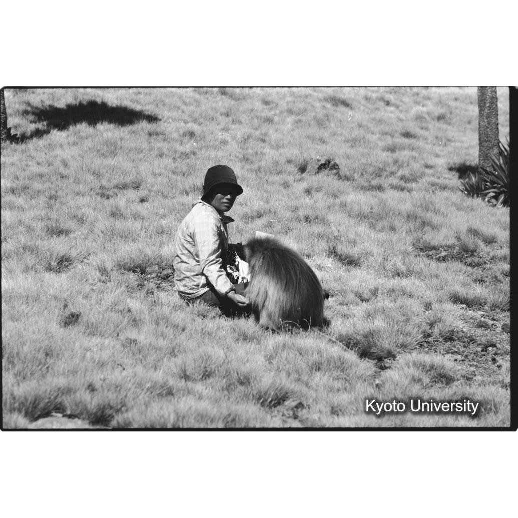 [２６コマ目]「森梅代隊員とアディス（１）」 (1)