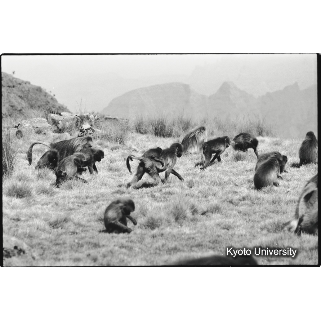 [３５コマ目]「移動（１）」 (1)