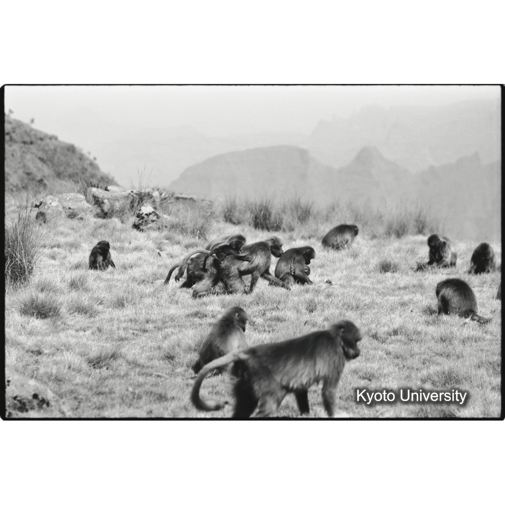 [３６コマ目]「移動（２）」 (1)