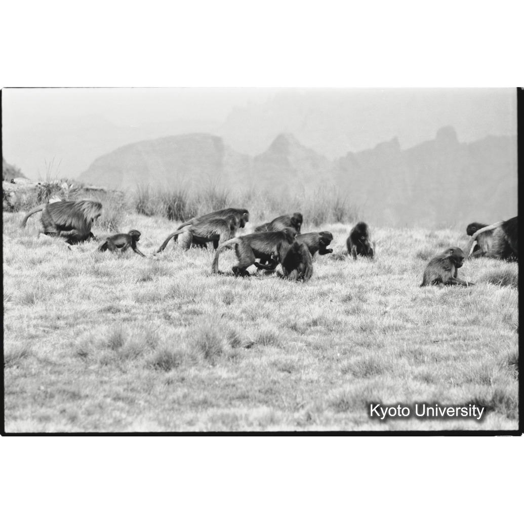 [３７コマ目]「移動（３）」 (1)