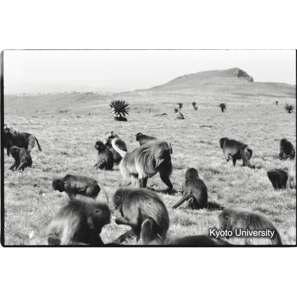 [３コマ目]「リーダーの見廻り」 (1)