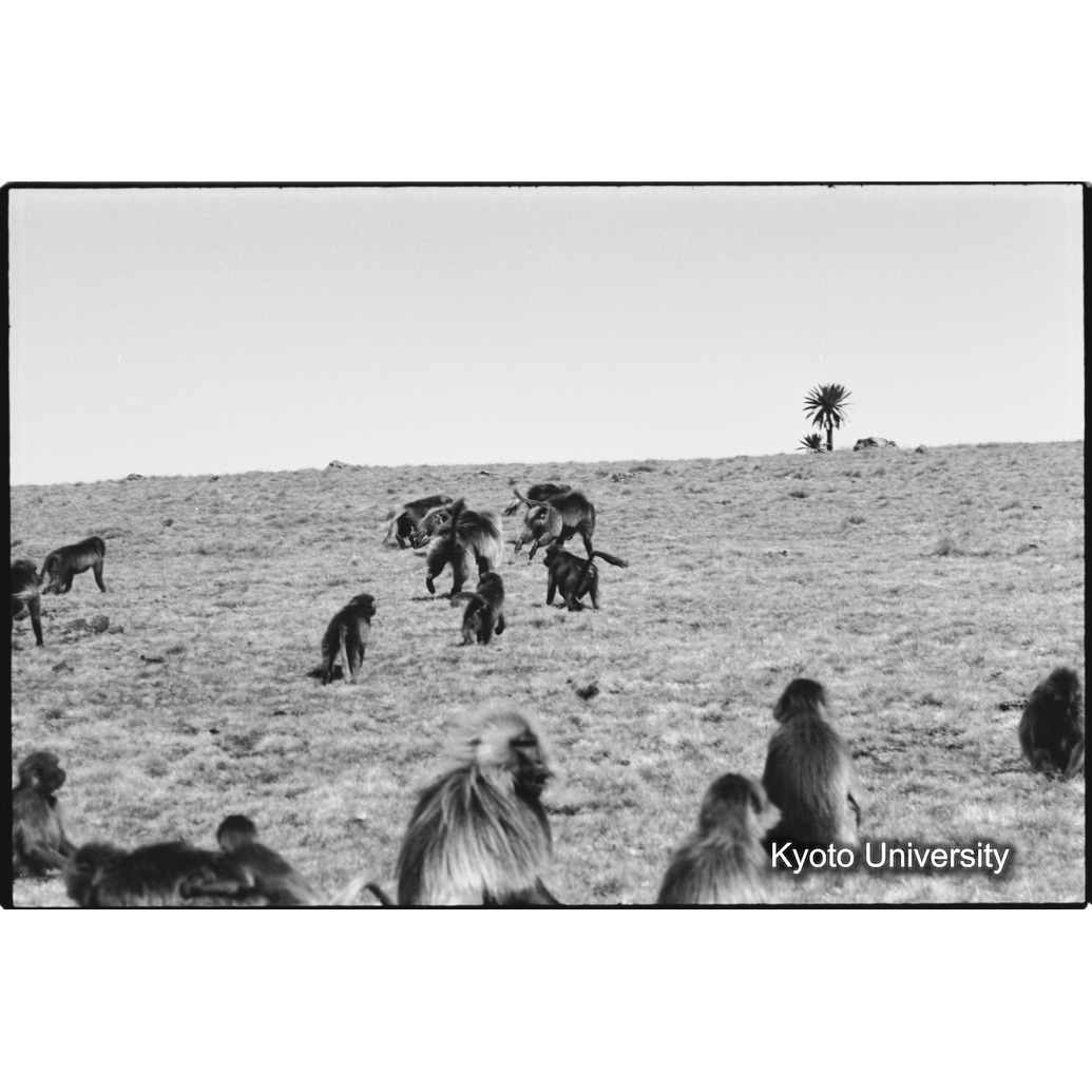 [１７コマ目]「雄グループとユニットリーダー雄（１）」 (1)