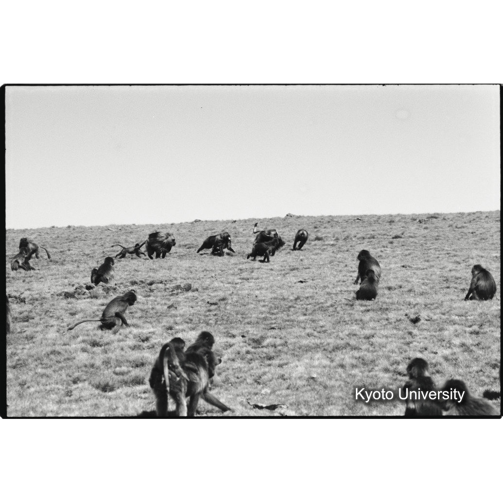 [１８コマ目]「雄グループとユニットリーダー雄（２）」 (1)