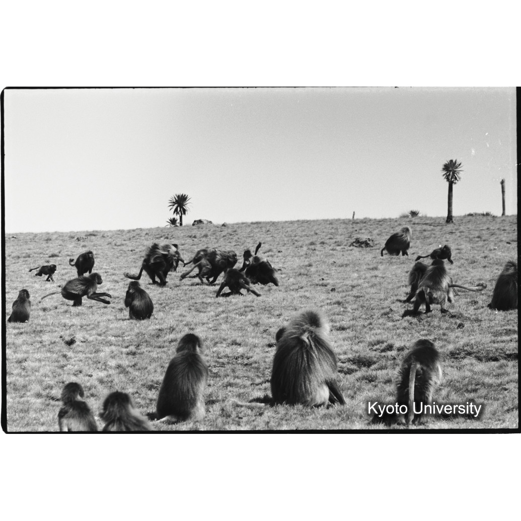 [１９コマ目]「雄グループとユニットリーダー雄（３）」 (1)