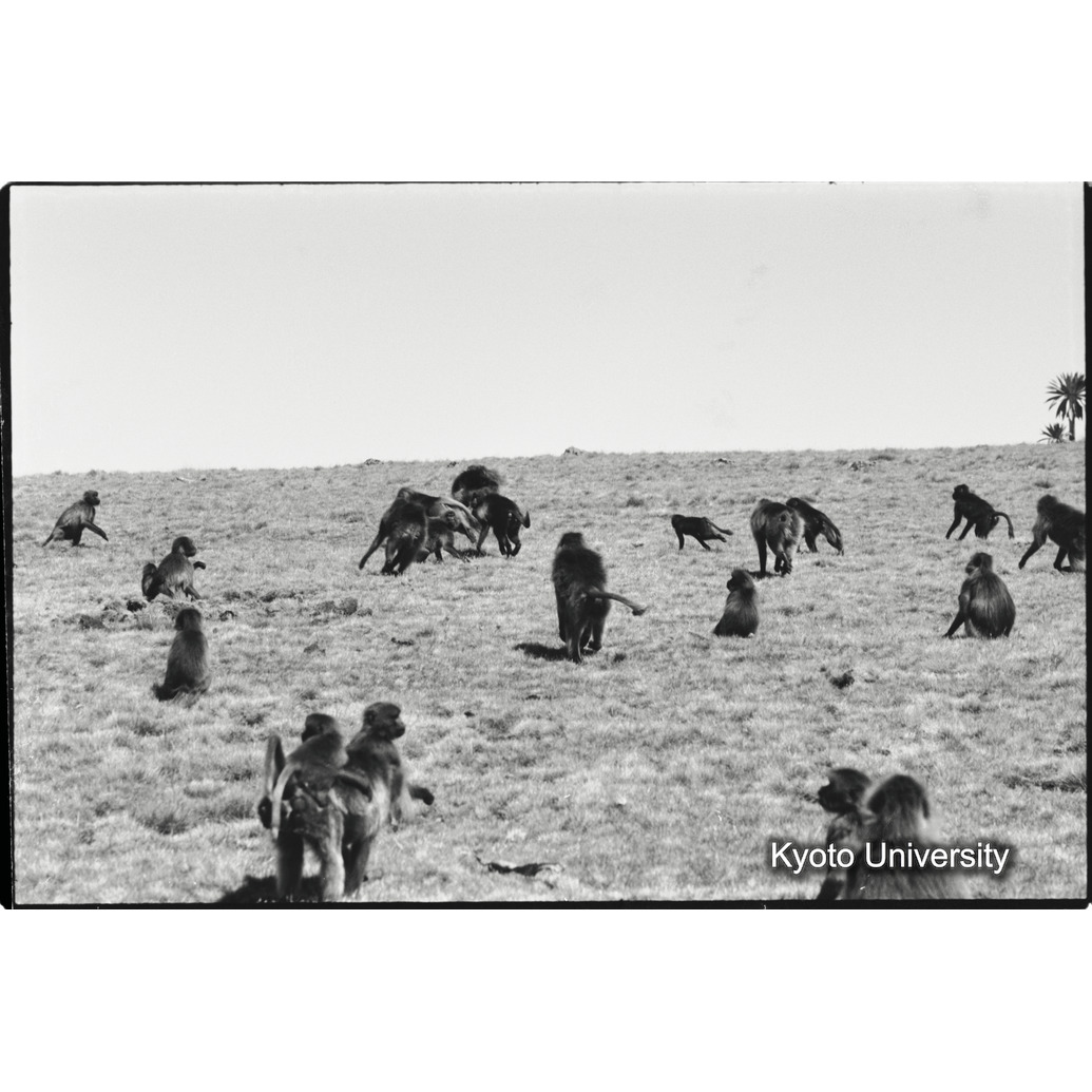 [２０コマ目]「雄グループとユニットリーダー雄（４）」 (1)