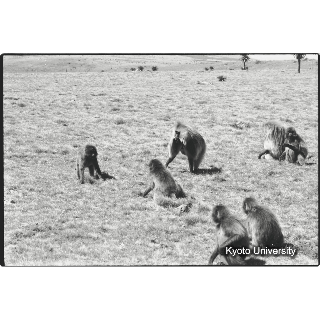 [２２コマ目]「雄グループとユニットリーダー雄（６）」 (1)