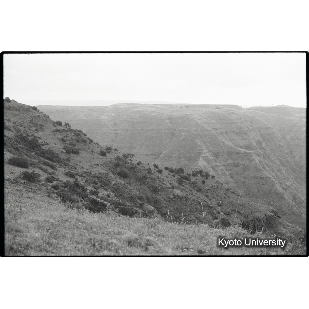 [６コマ目]「サンカバーよりの一望」 (1)