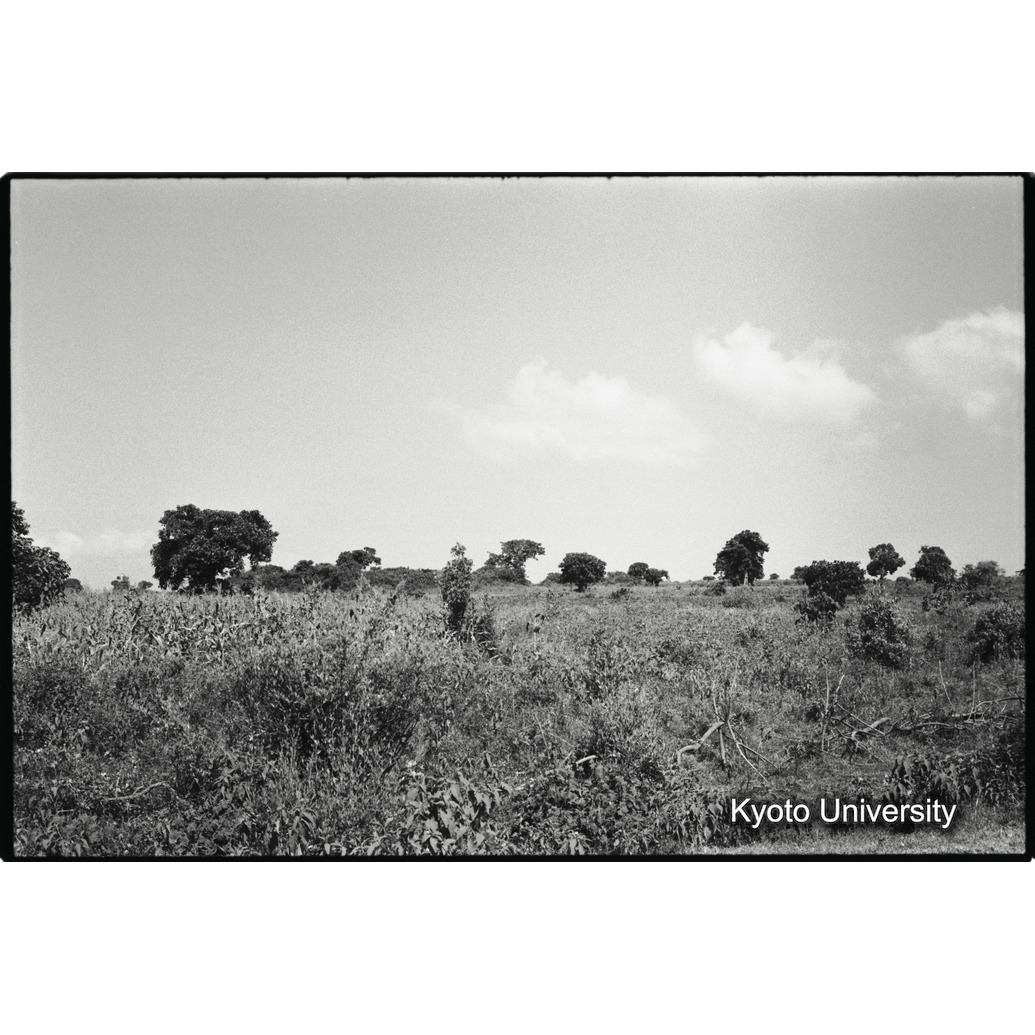 [１８コマ目]「農家（アムハラ族）」 (1)