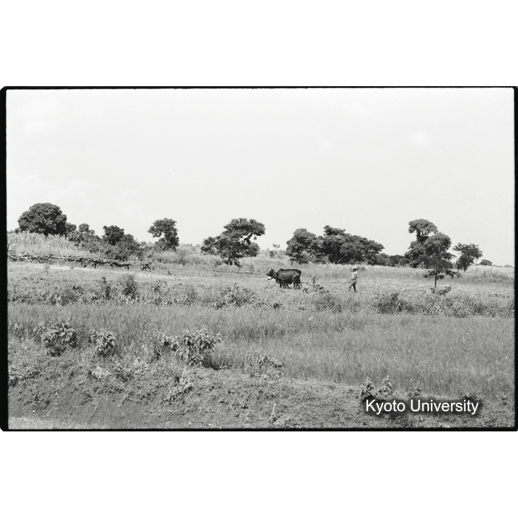 [３１コマ目]「耕作」 (1)