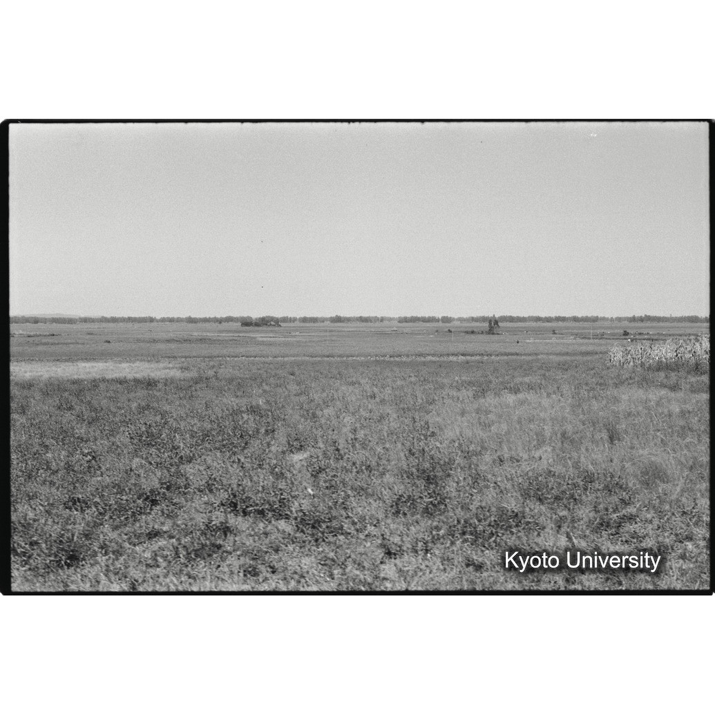 [３６コマ目]「×」 (1)