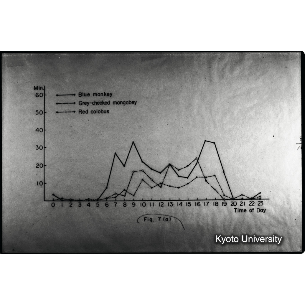 [２コマ目]「×」 (1)