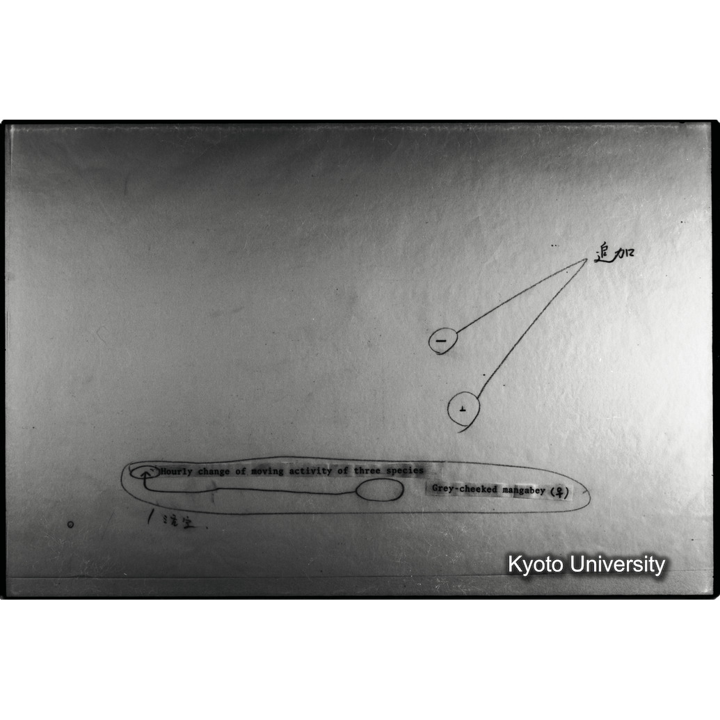 [３コマ目]「×」 (1)