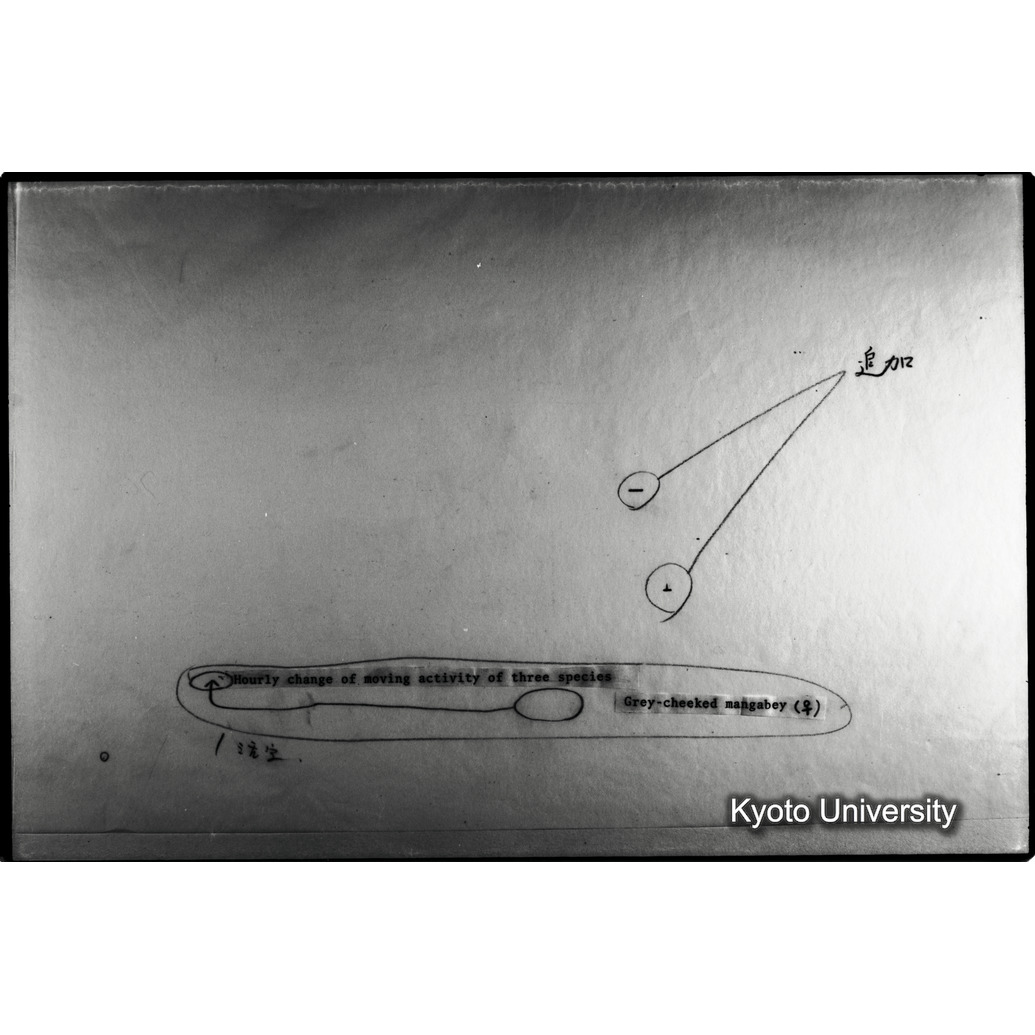 [４コマ目]「×」 (1)