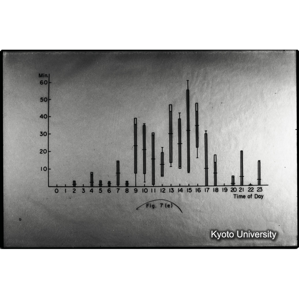 [６コマ目]「×」 (1)