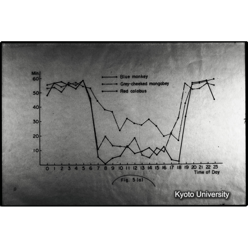 [１１コマ目]「×」 (1)