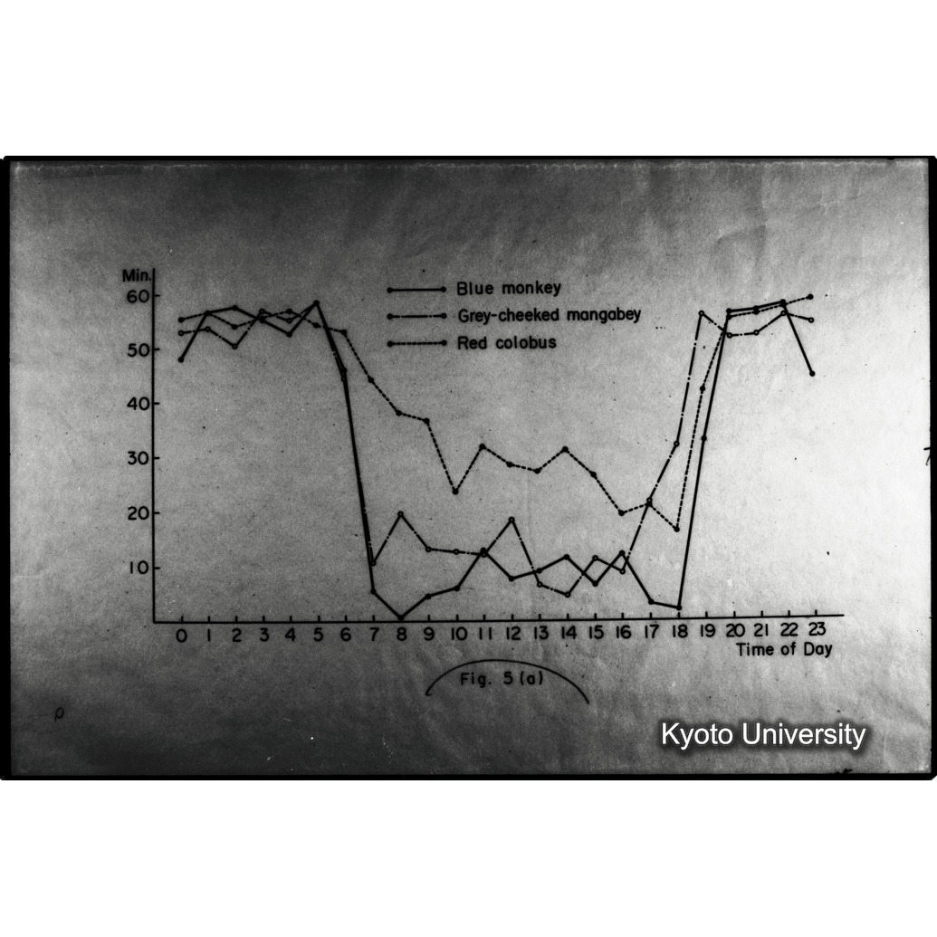 [１２コマ目]「×」 (1)