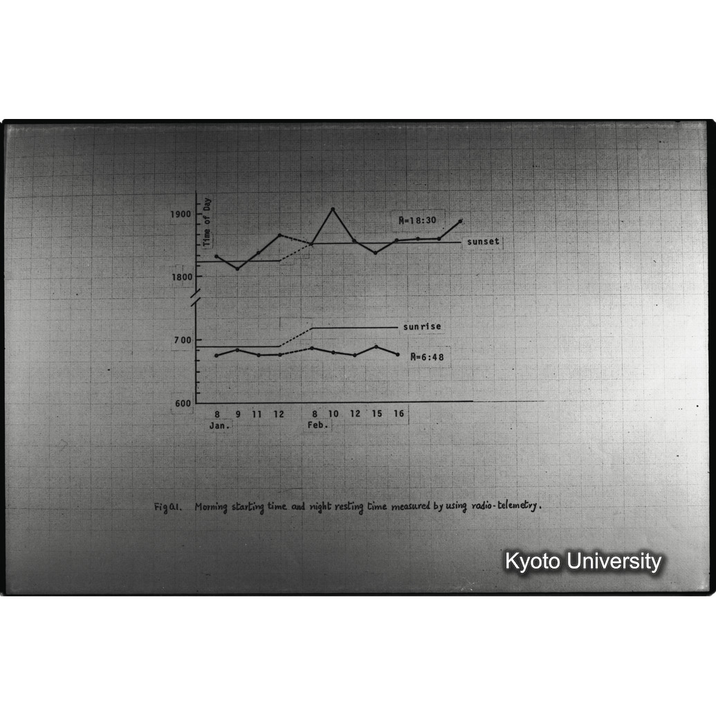 [１３コマ目]「×」 (1)