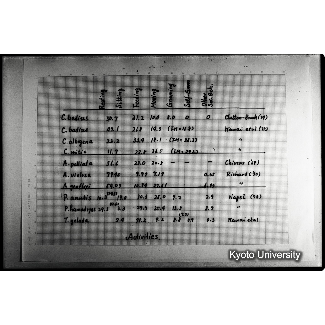 [２５コマ目]「×」 (1)