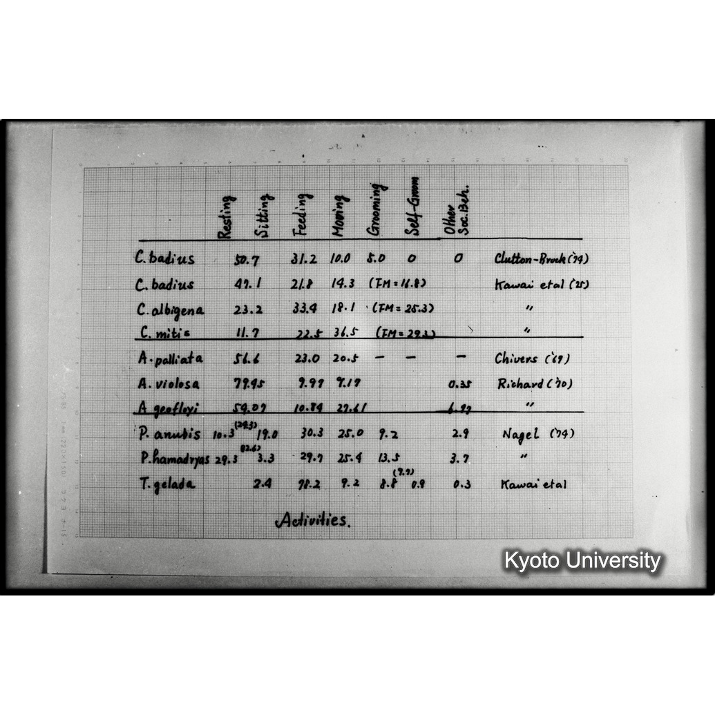 [２６コマ目]「×」 (1)