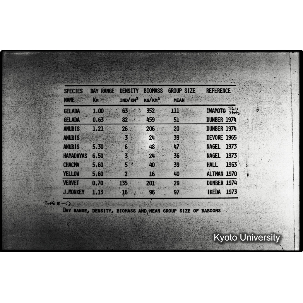 [２７コマ目]「×」 (1)