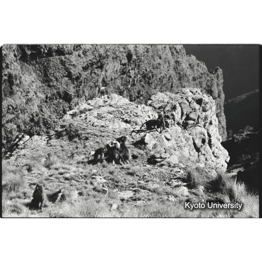 [７コマ目]「休息（２）」 (1)