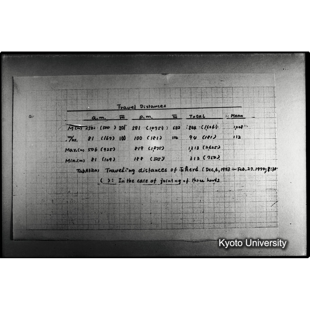 [３１コマ目]「×」 (1)