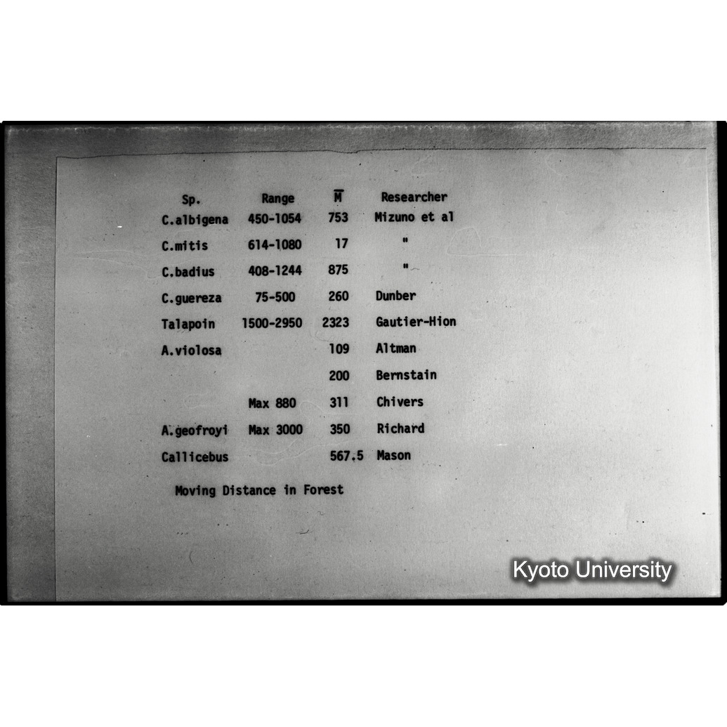 [２コマ目]「×」 (1)