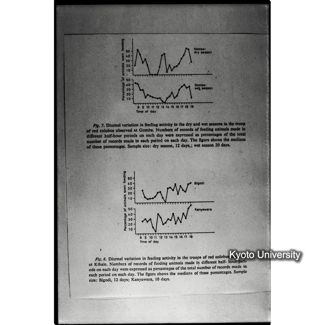 [４コマ目]「×」 (1)