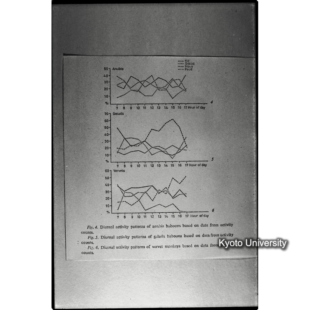 [５コマ目]「×」 (1)