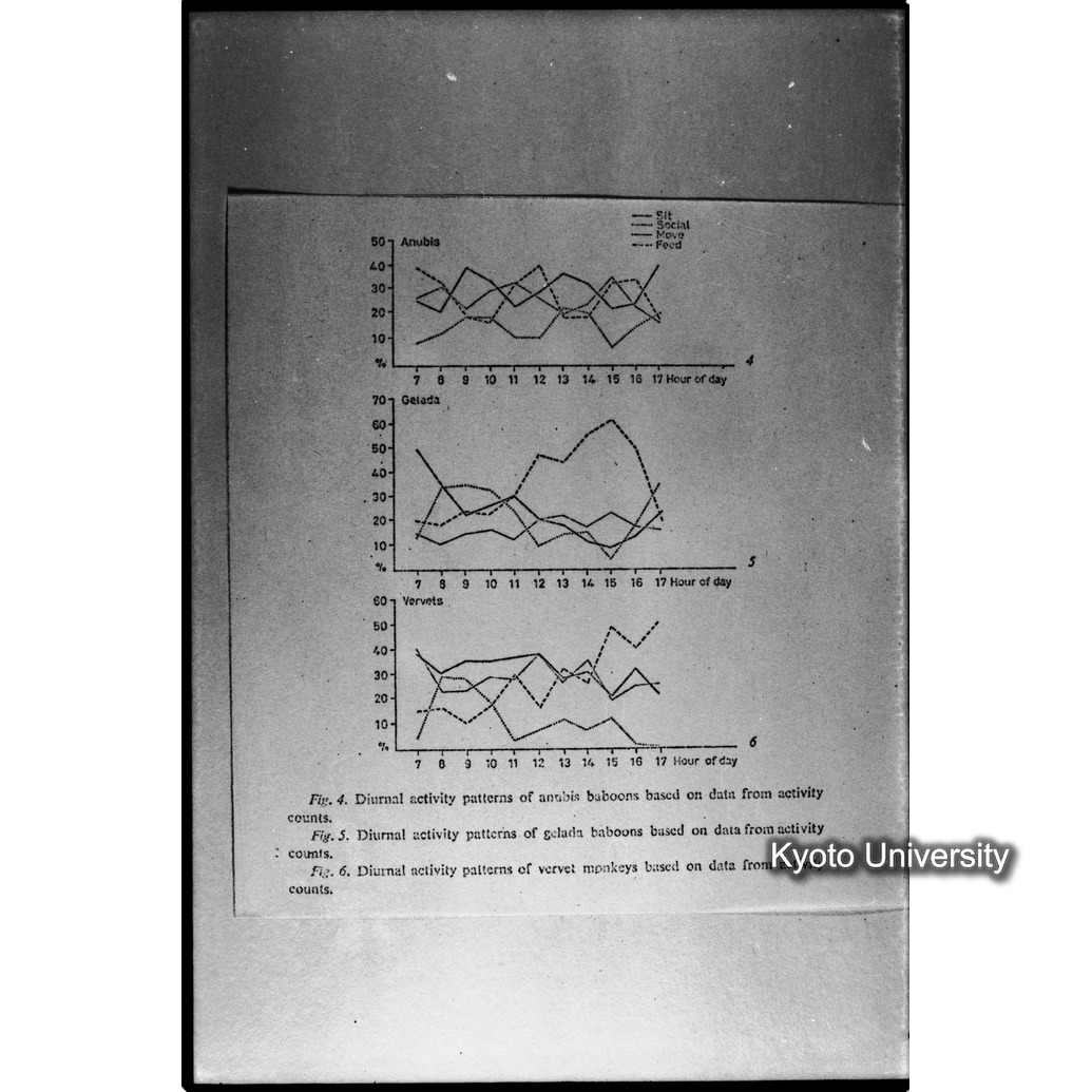 [６コマ目]「×」 (1)