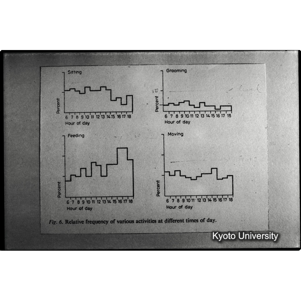 [７コマ目]「×」 (1)