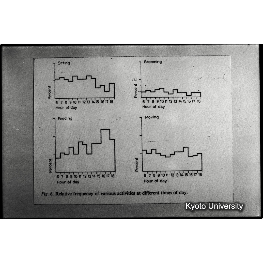 [８コマ目]「×」 (1)