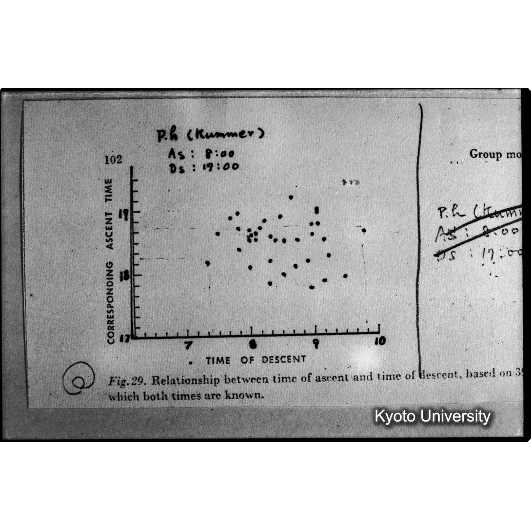 [９コマ目]「×」 (1)