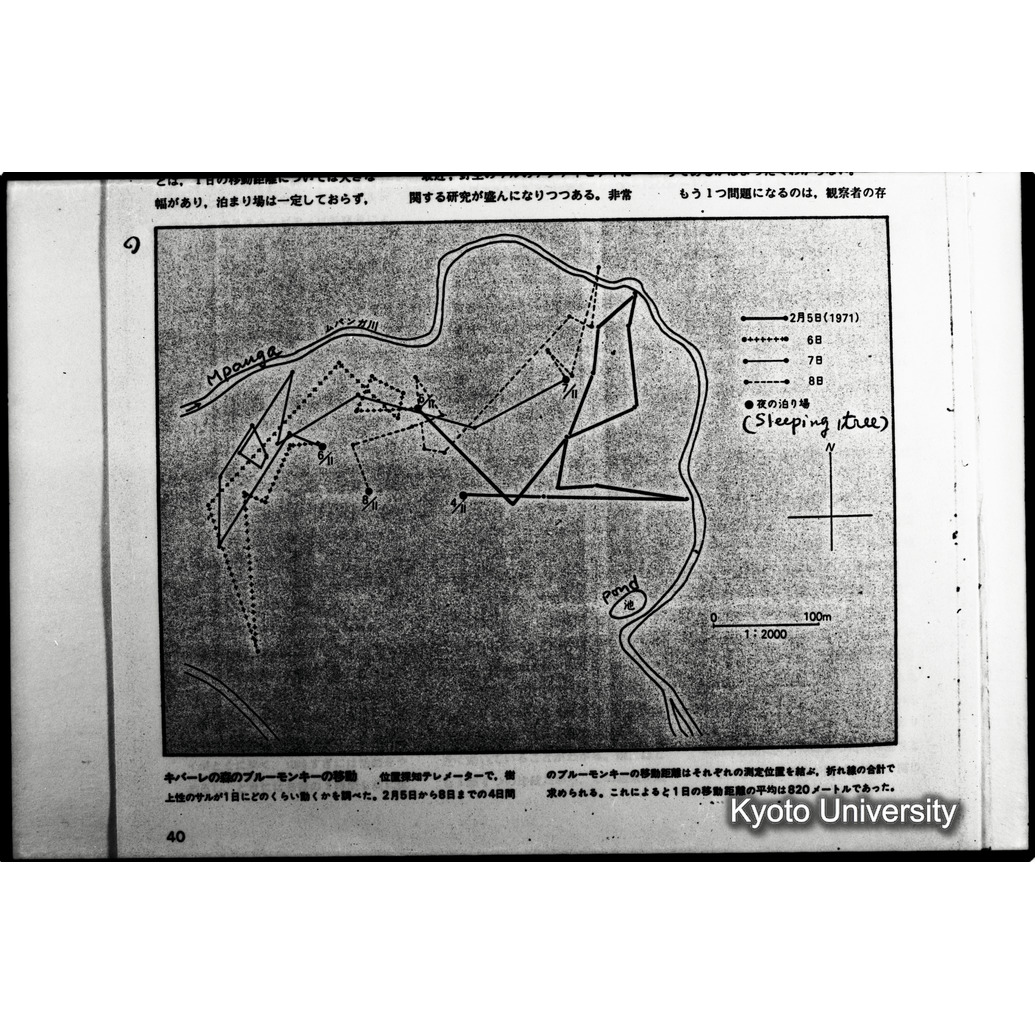 [１２コマ目]「×」 (1)