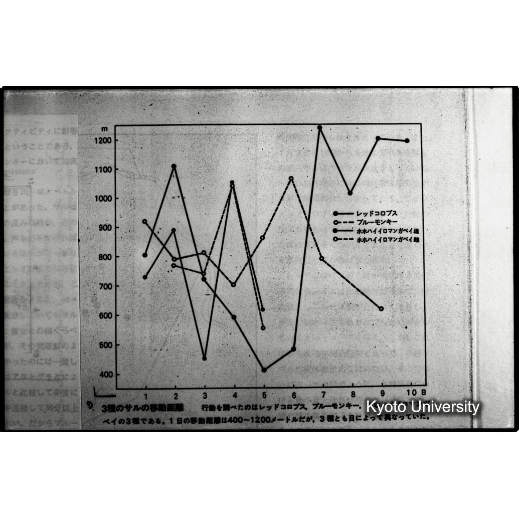 [１３コマ目]「×」 (1)