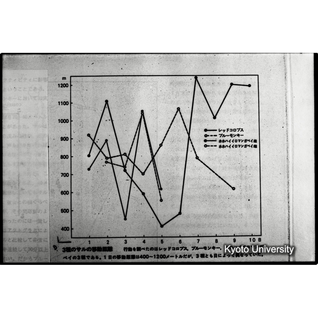 [１４コマ目]「×」 (1)