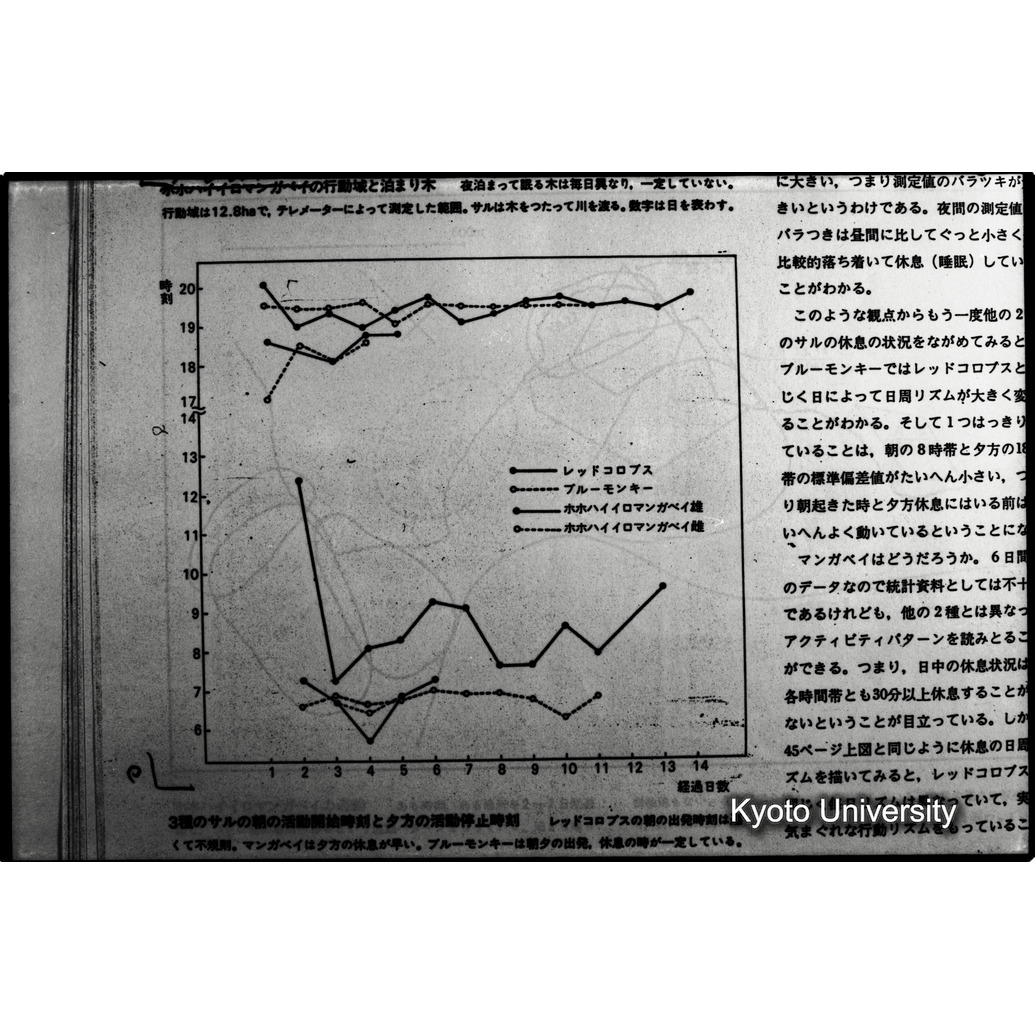 [１７コマ目]「×」 (1)