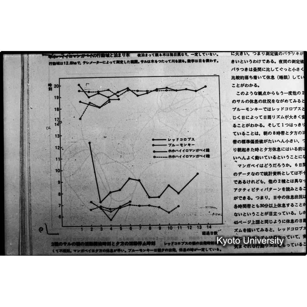 [１８コマ目]「×」 (1)