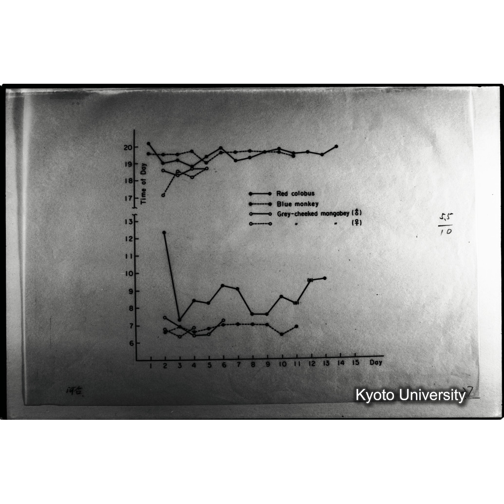 [１９コマ目]「×」 (1)