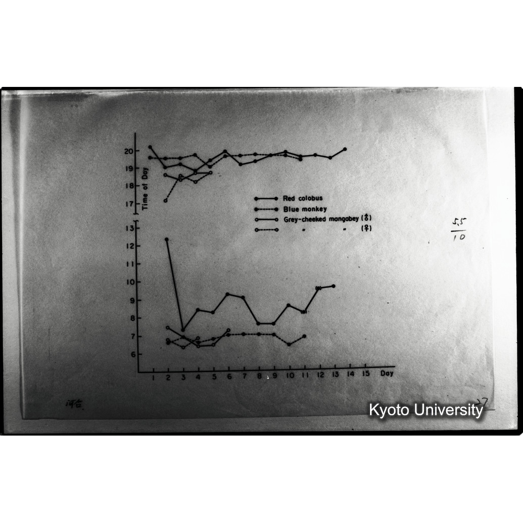 [２０コマ目]「×」 (1)